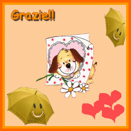 grazie-finale.gif