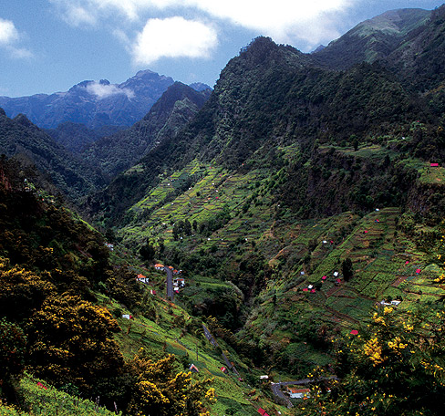 madeira-faial-costa-norte.jpg