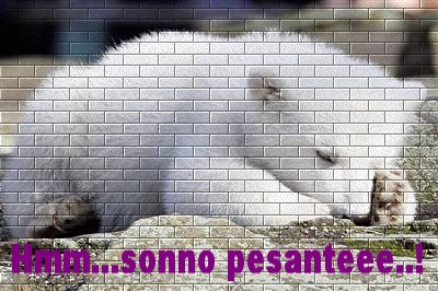 sonno-pesante.jpg