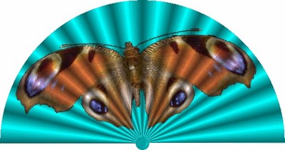 ventaglio-farfalla-ridotto.jpg