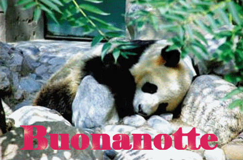 buonanotte-panda-finale.gif