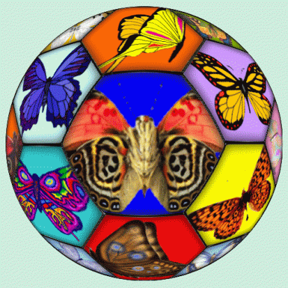 farfalle-nel-pallone.gif