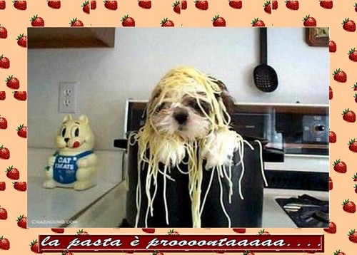 la-pasta-e-pronta-1.jpg