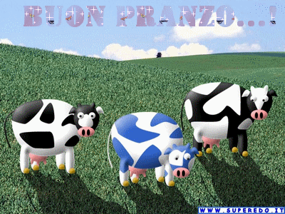 mucche-pranzo-finito.gif
