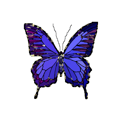 farfalla-finita.gif