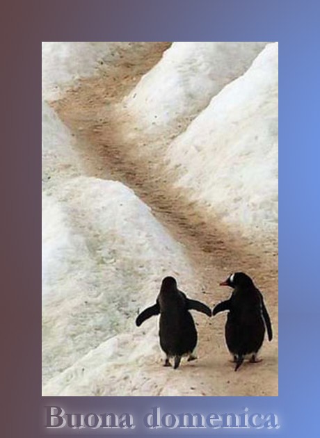 buona-domenica.jpg