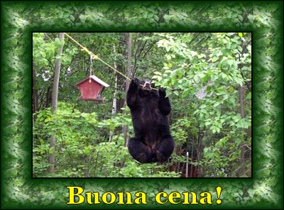 orso-buona-cena.jpg