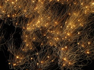 3158942237_52010b1d4f