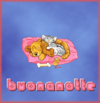 buonanotte-cane-e-gatto