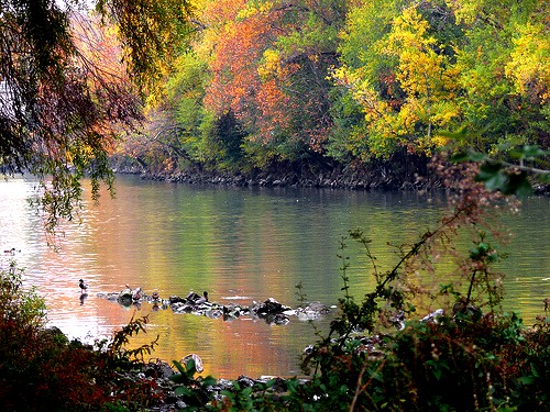 ferma-alle-sponde ferma-alle-sponde