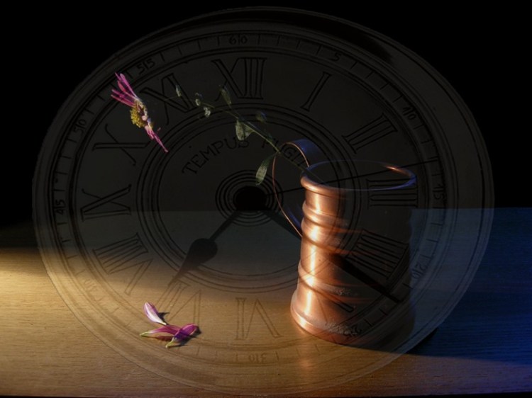 il tempo è il ladro della memoria