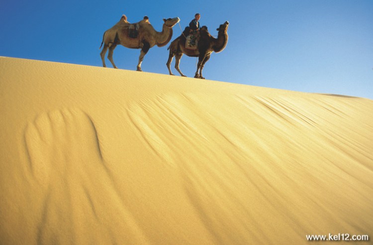 Mongolia,Gobi sconosciuto