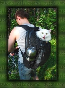 in gita con batuffolo di estate