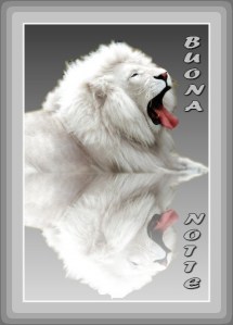 leo-riflesso buonanotte 3