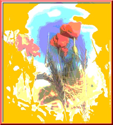 spighe+papaveri+corn. spighe+papaveri+corn.