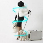 in viaggio con fuffy beam