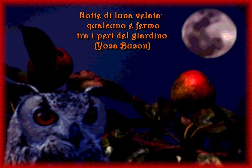 pero+gufo+luna con pens.