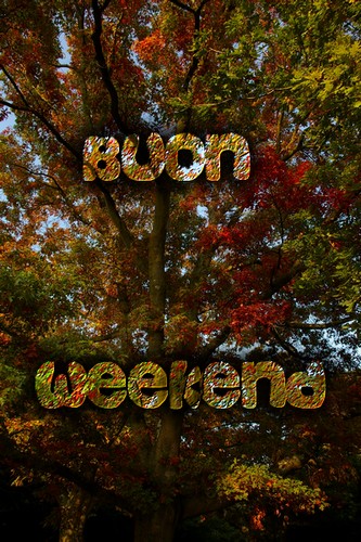 buonweautunno 3