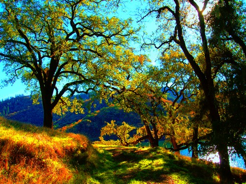 la felicità...disse...