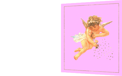 bigl rosa angelo finale