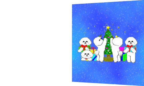 biglietto azzurro finale