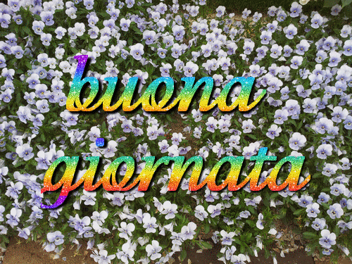 giornatafioritafinale