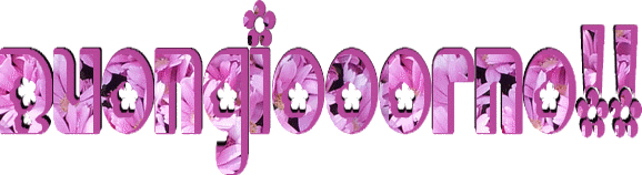 buongiorno fiorito trasp2