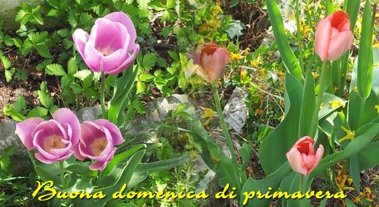domenica di primavera 1