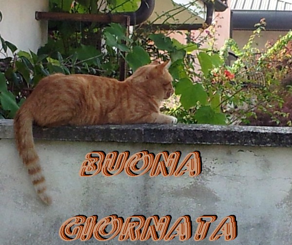 buonagiornatadisole