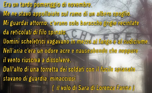 il volo di sara 1
