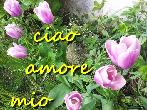 ciaoamore