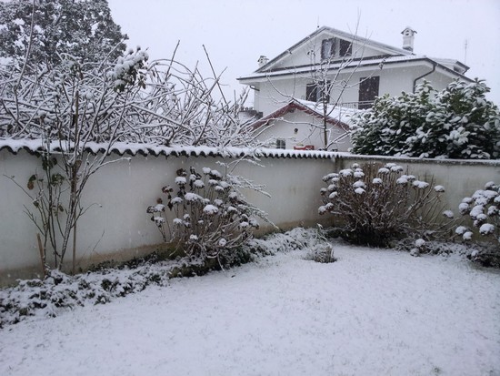 nevica-1