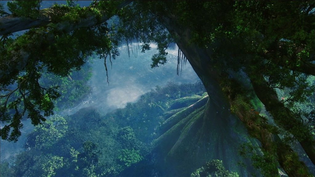 Avatar-Forest-Plants-Film