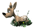 deer-image