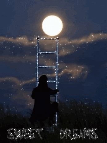 443f120305d7d91d18fb90b9ee6cc183