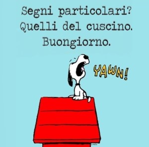 4909165bf0c97d2a7a68255fa9cc1100