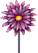 flowersnurra