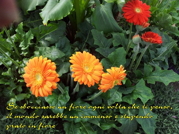 pensiero 25 mag 2018