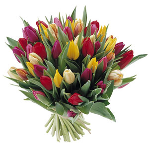 5581DD0D-B8E0-452F-A4BE-34FFA3CD70CC